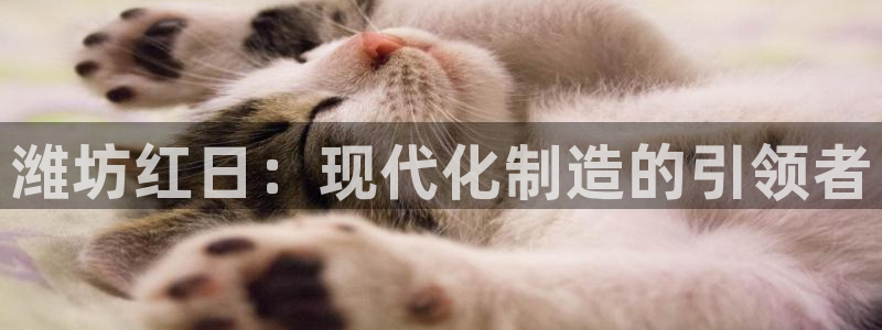 天辰娱乐best:潍坊红日:现代化制造的引领者