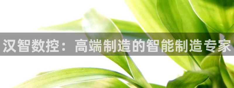 天辰娱乐新闻:汉智数控:高端制造的智能制造专家