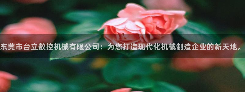 天辰娱乐小妹:东莞市台立数控机械有限公司:为您打造现代化机械制造企业的新天地。