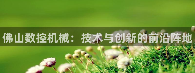 天辰娱乐在线登录注册:佛山数控机械:技术与创新的前沿阵地