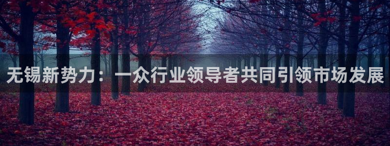 天辰娱乐-q:无锡新势力:一众行业领导者共同引领市场发展