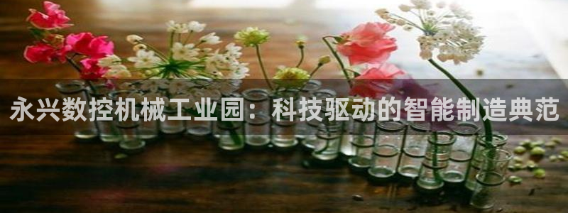 广东天辰娱乐:永兴数控机械工业园:科技驱动的智能制造典范