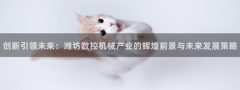 天辰娱乐2:创新引领未来:潍坊数控机械产业的辉煌前景与未来发展策略