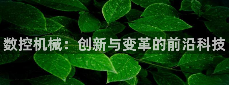 天辰娱乐首页:数控机械:创新与变革的前沿科技